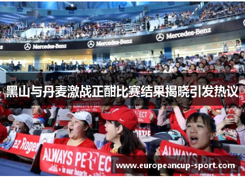 黑山与丹麦激战正酣比赛结果揭晓引发热议
